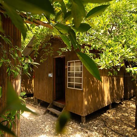 Olympos Yakamoz Pansiyon Экстерьер фото