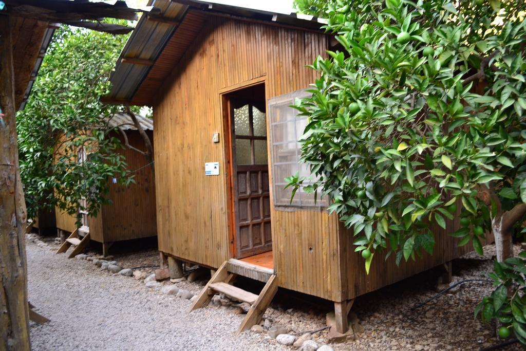 Olympos Yakamoz Pansiyon Номер фото