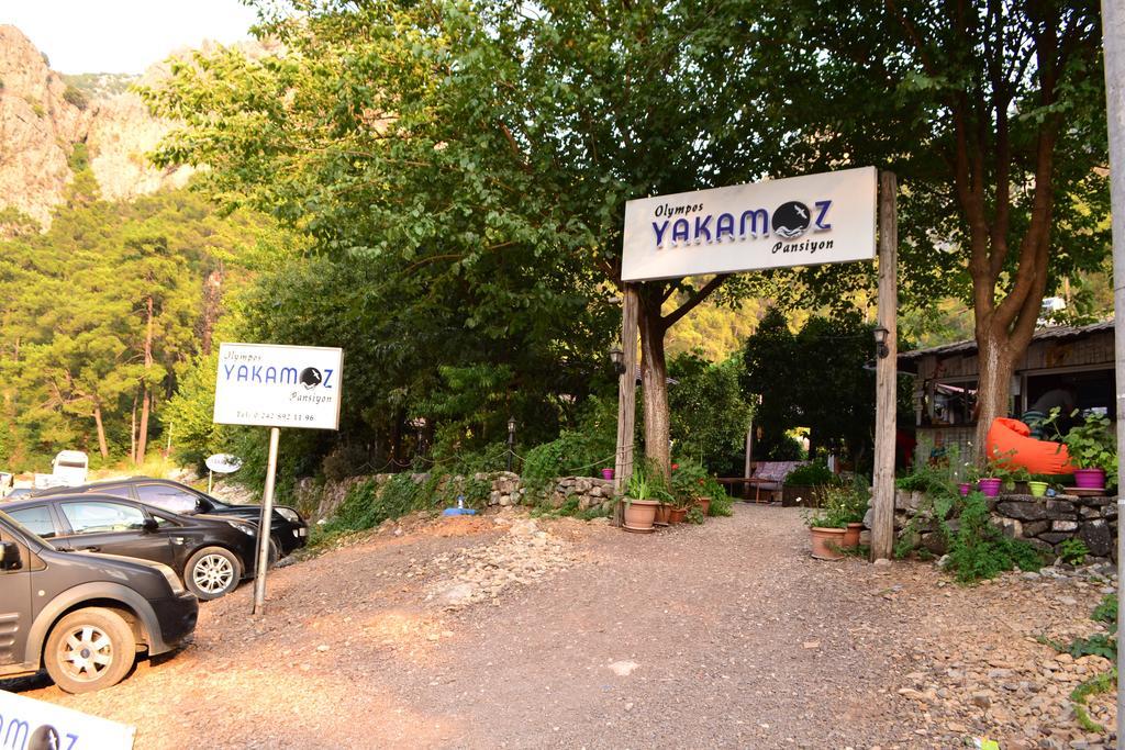 Olympos Yakamoz Pansiyon Экстерьер фото