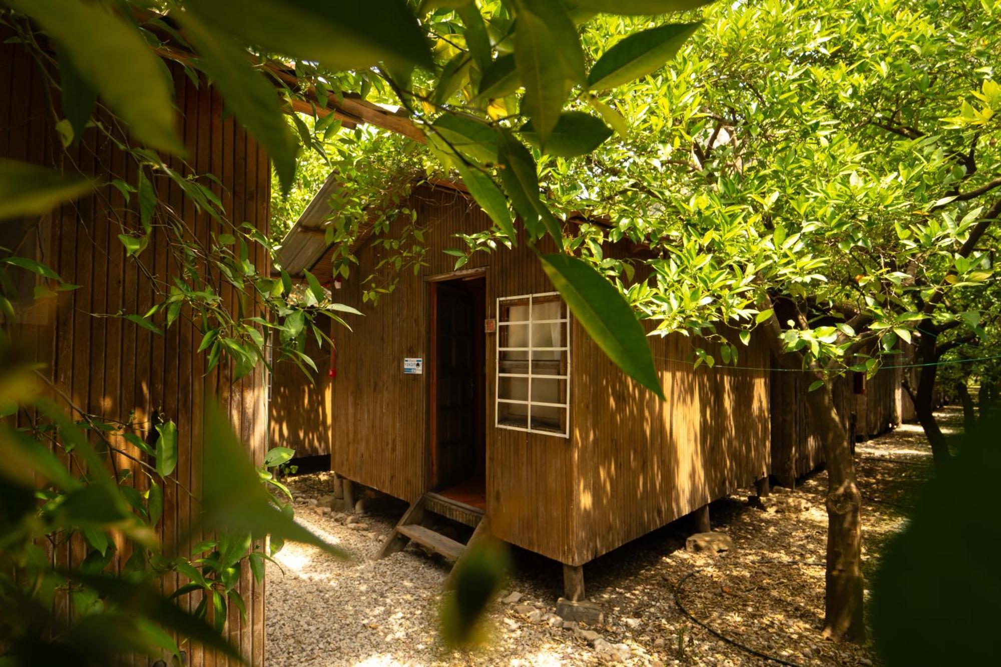 Olympos Yakamoz Pansiyon Экстерьер фото