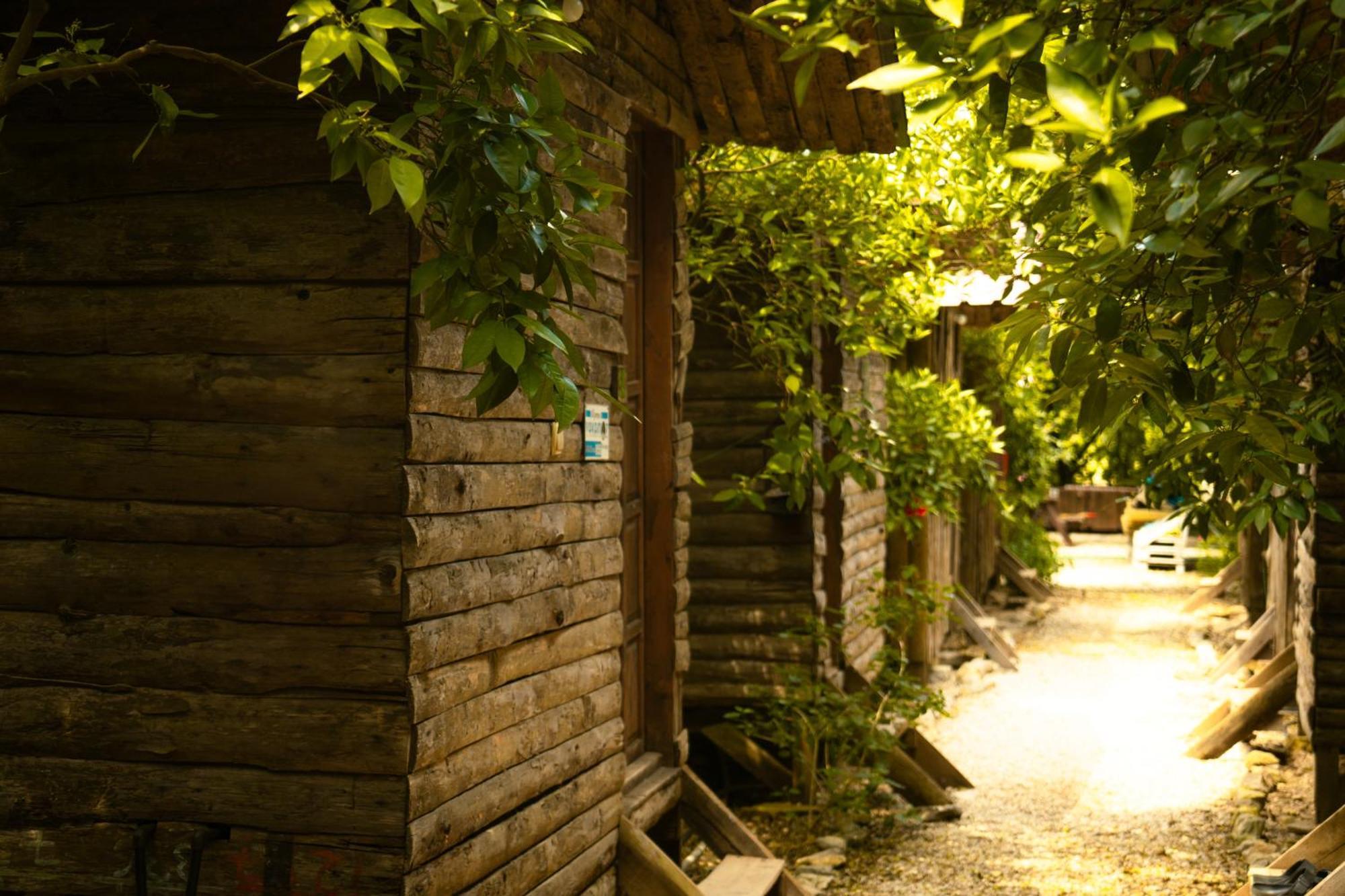 Olympos Yakamoz Pansiyon Экстерьер фото