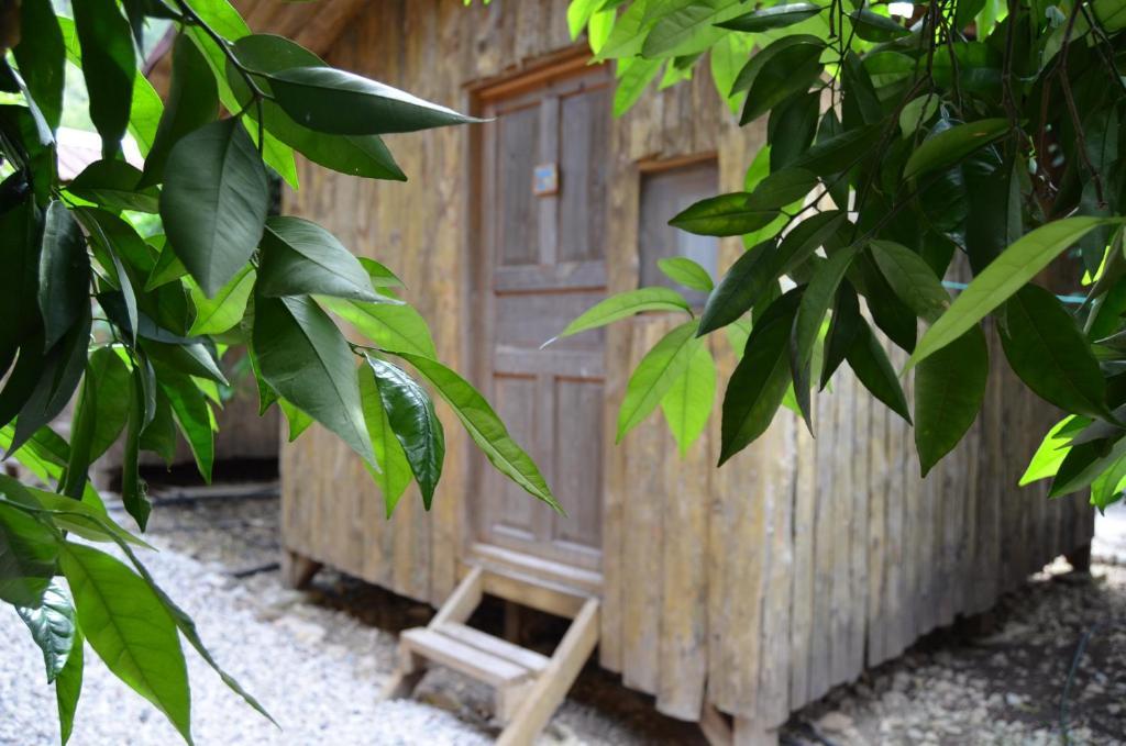 Olympos Yakamoz Pansiyon Номер фото