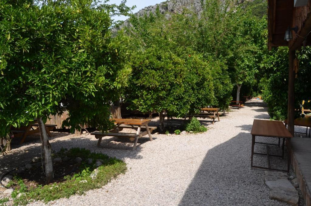 Olympos Yakamoz Pansiyon Экстерьер фото
