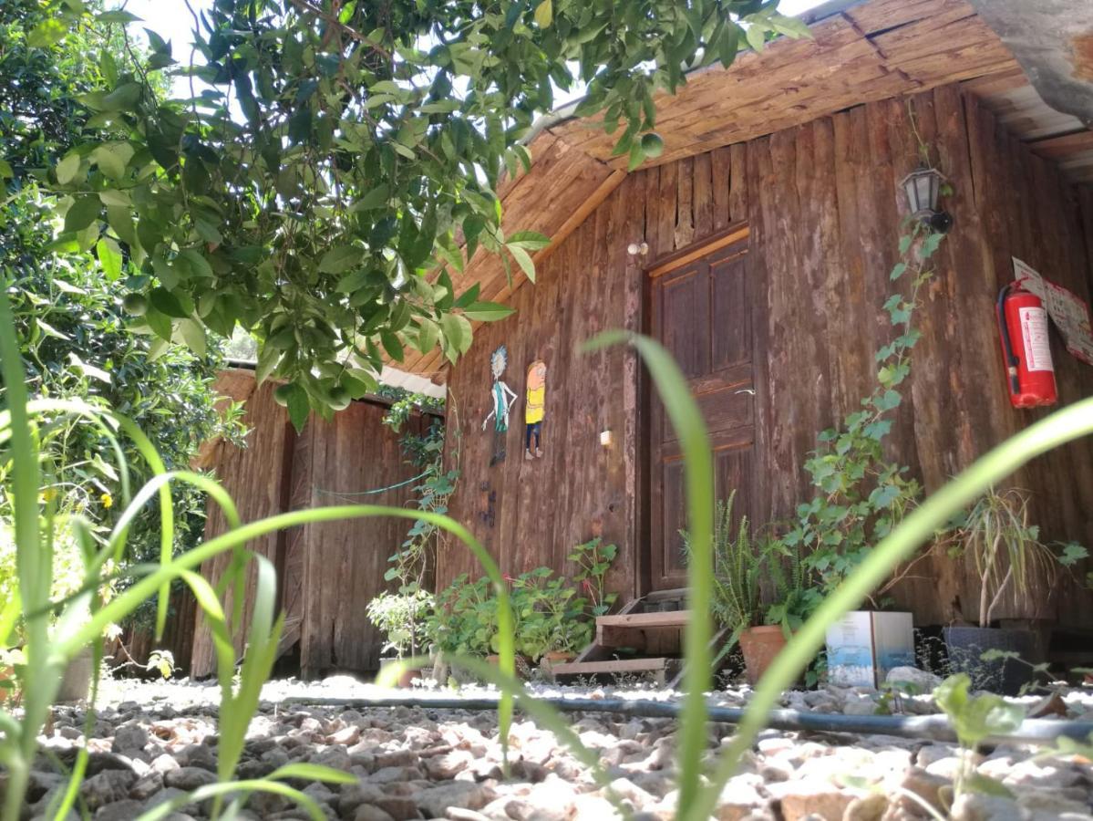 Olympos Yakamoz Pansiyon Экстерьер фото