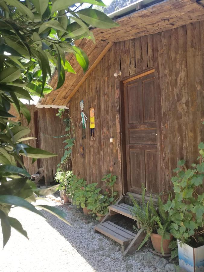 Olympos Yakamoz Pansiyon Экстерьер фото