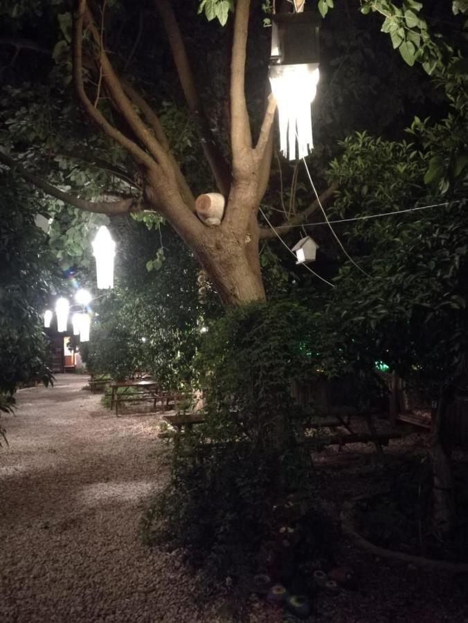 Olympos Yakamoz Pansiyon Экстерьер фото