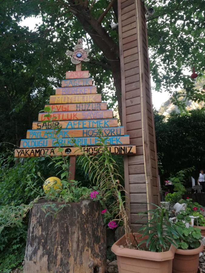 Olympos Yakamoz Pansiyon Экстерьер фото