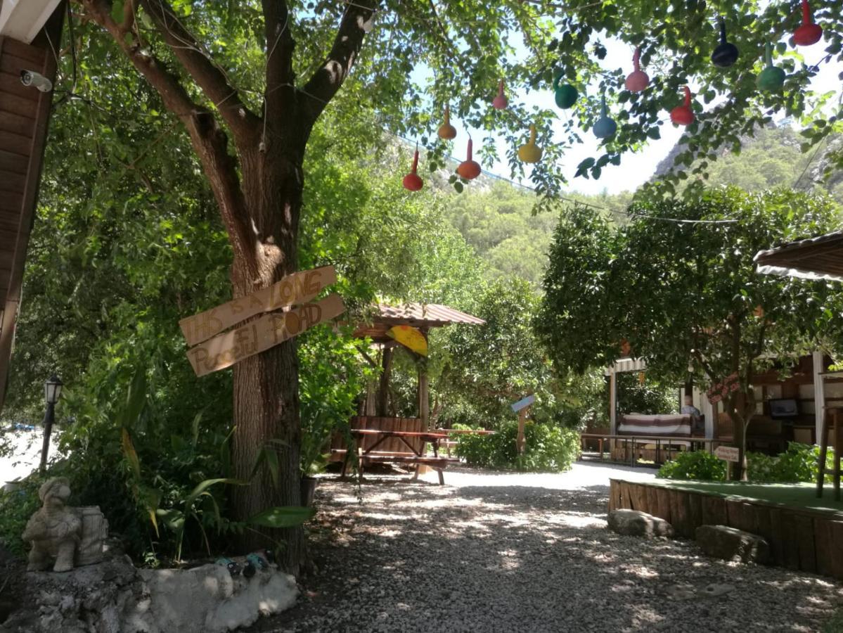 Olympos Yakamoz Pansiyon Экстерьер фото