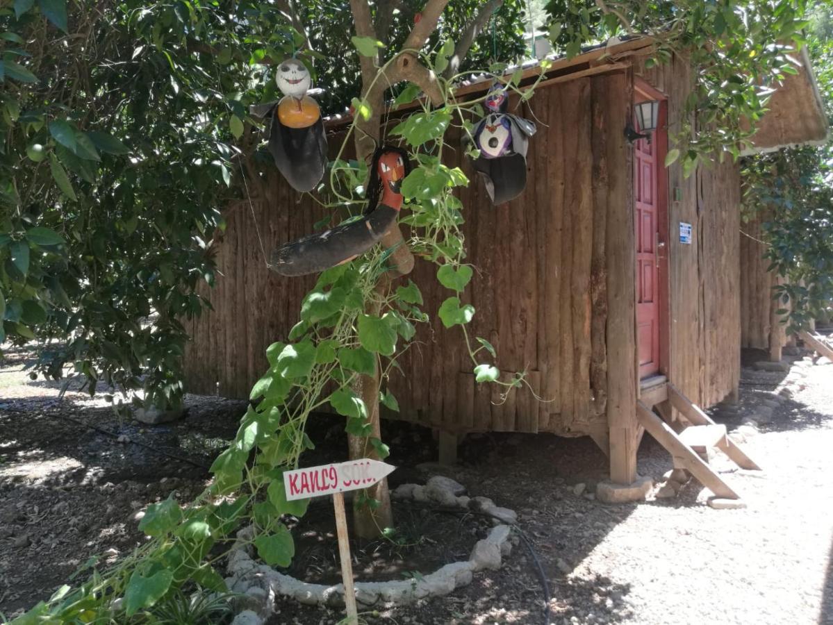 Olympos Yakamoz Pansiyon Экстерьер фото