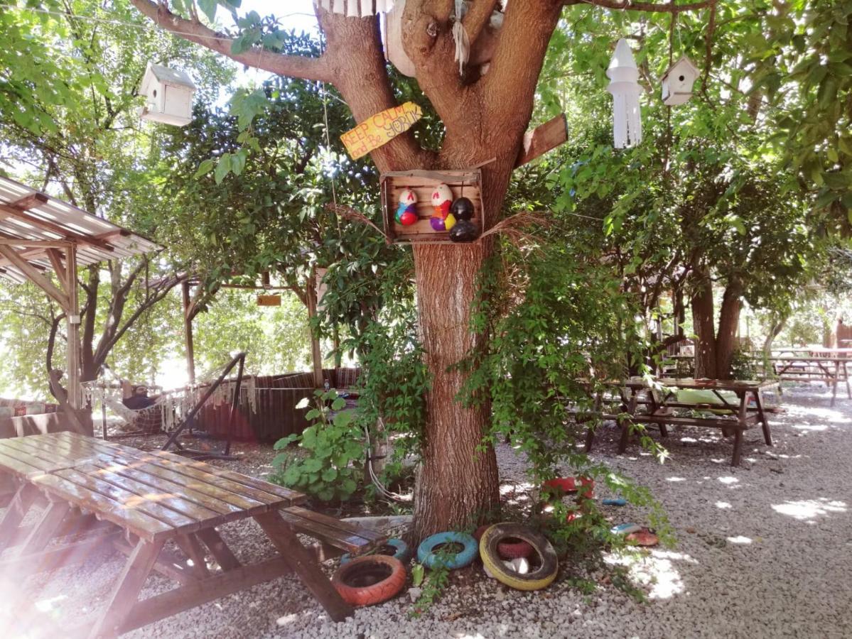 Olympos Yakamoz Pansiyon Экстерьер фото