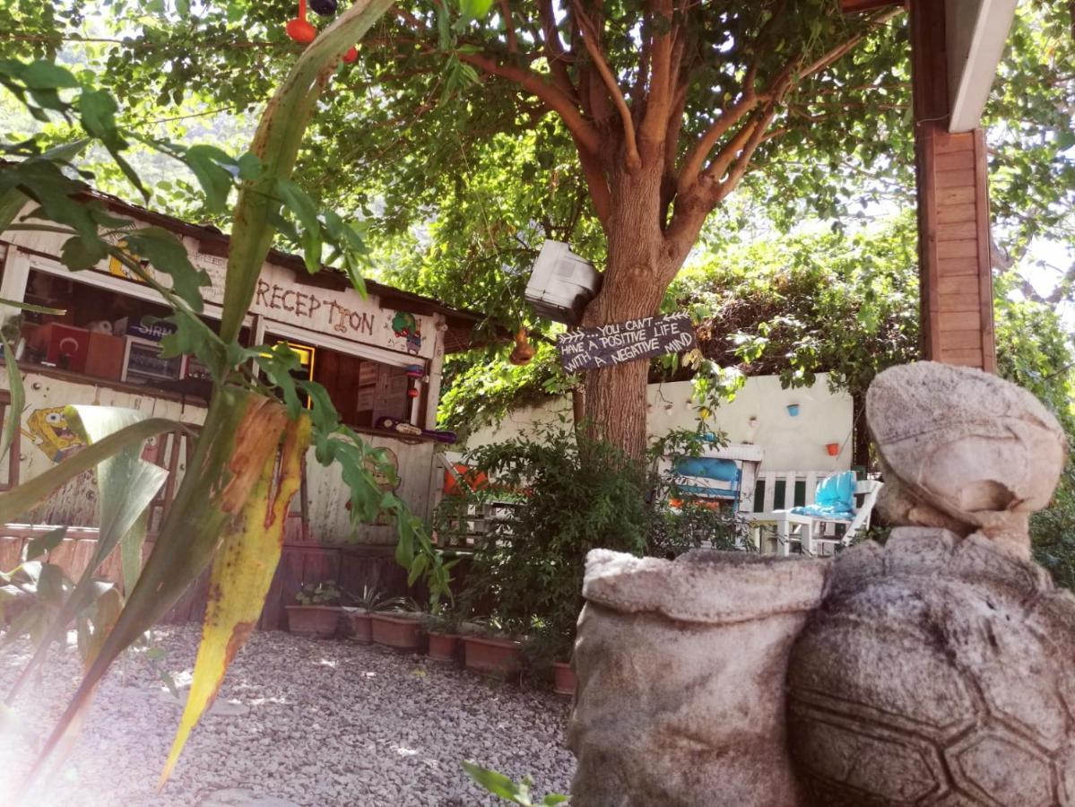 Olympos Yakamoz Pansiyon Экстерьер фото