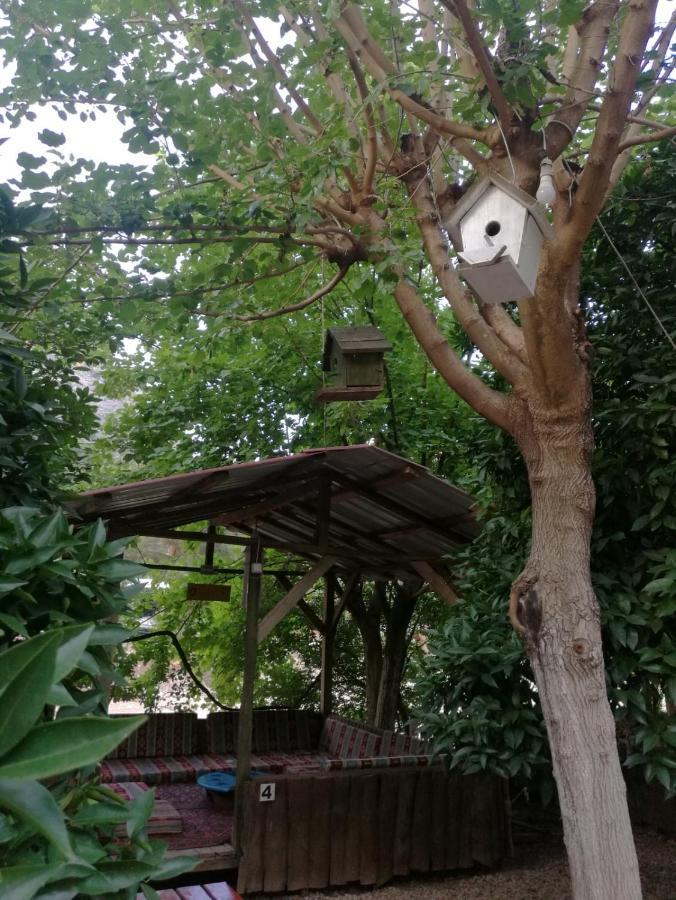 Olympos Yakamoz Pansiyon Экстерьер фото
