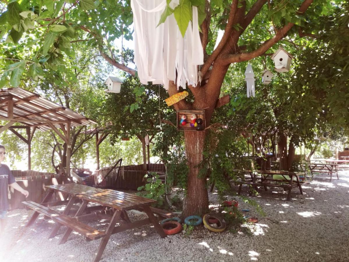 Olympos Yakamoz Pansiyon Экстерьер фото
